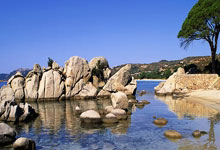 欧洲一流国家队冲刺国际足球头衔